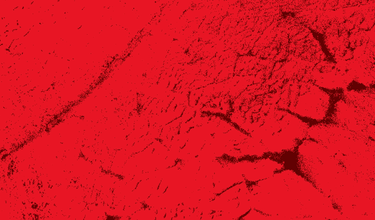 Grow Your Understanding: Hormonal Growth Promotants In Beef Production