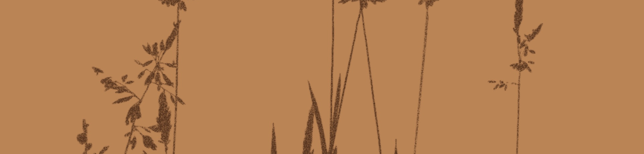 Wagyu Australia: Kemenangan Mudah Bersama Pelanggan