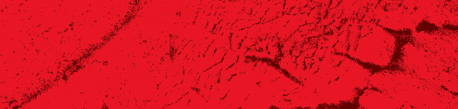 Grow Your Understanding: Hormonal Growth Promotants In Beef Production