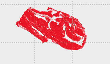 Get Smarter With Lamb: The Benefits Of Vacuum-Packaging