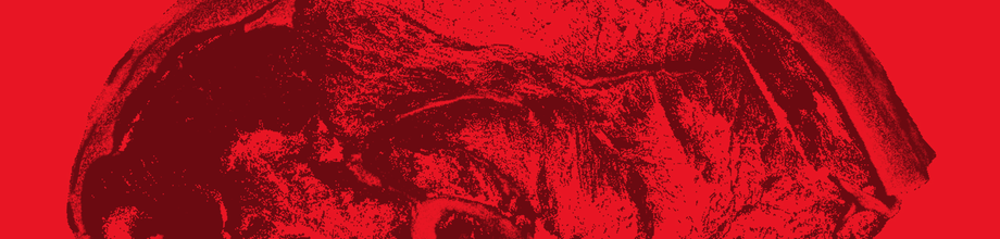 Unlock The Chain: Your Guide to Mastering the Lamb Supply Chain