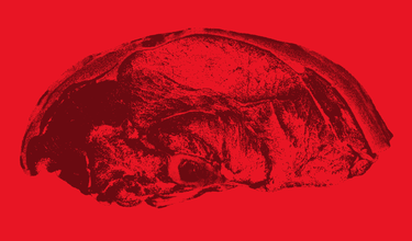 Unlock The Chain: Your Guide to Mastering the Lamb Supply Chain